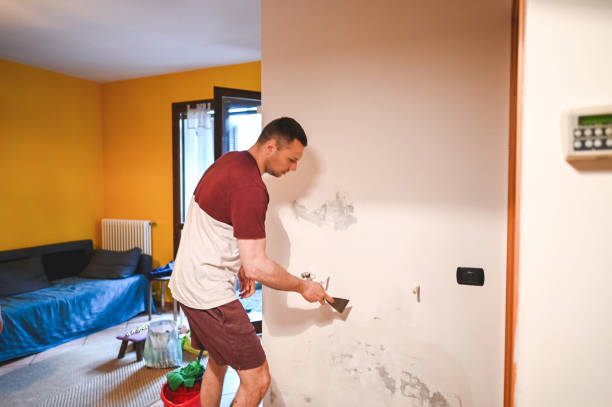 Best Post-Flood Mold Remediation in Scottsville, KY